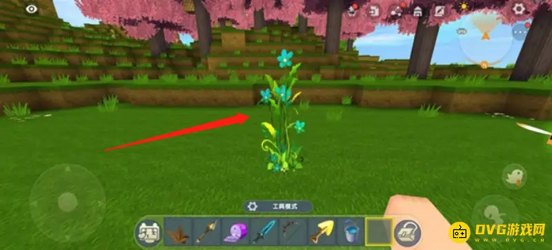 《迷你世界》花分布地点详解
