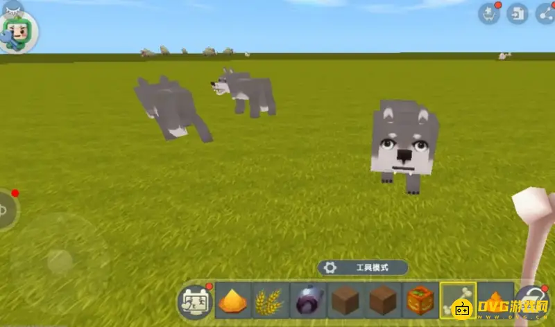 《迷你世界》沙漠狼驯服指南