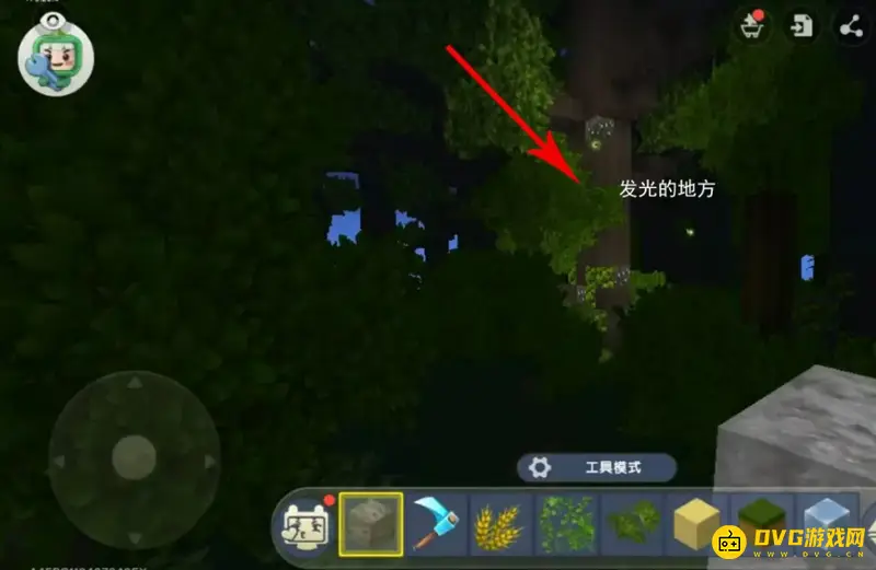 《迷你世界》雨林之芯位置详解
