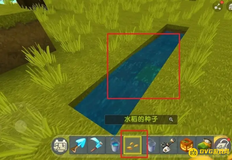 《迷你世界》水稻种植方法详解