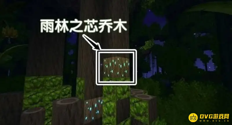 《迷你世界》雨林老板玩法详解