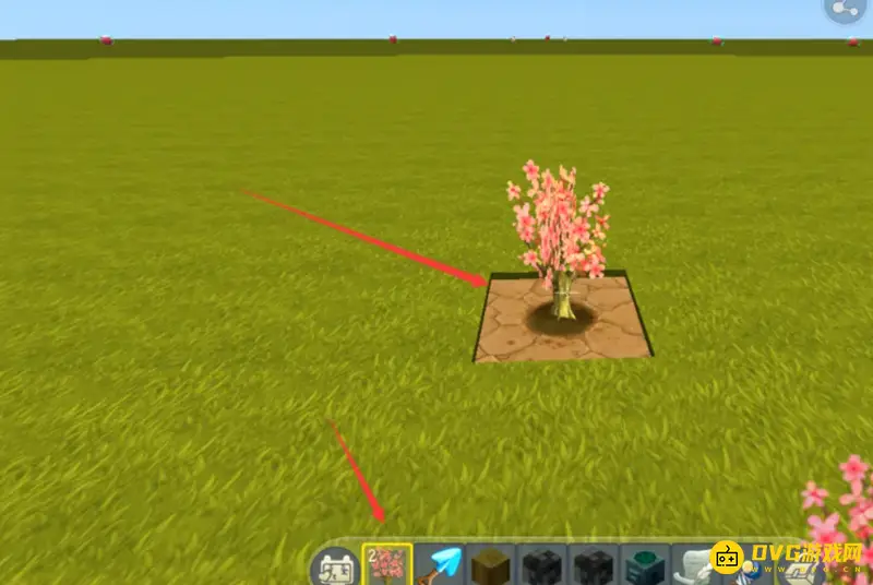 《迷你世界》桃树种植方法详解