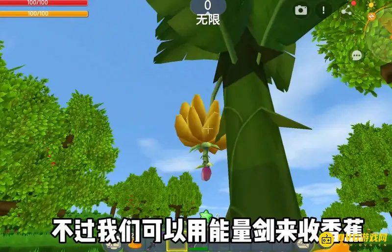 《迷你世界》香蕉树结香蕉次数解析-香蕉树可结两次香蕉