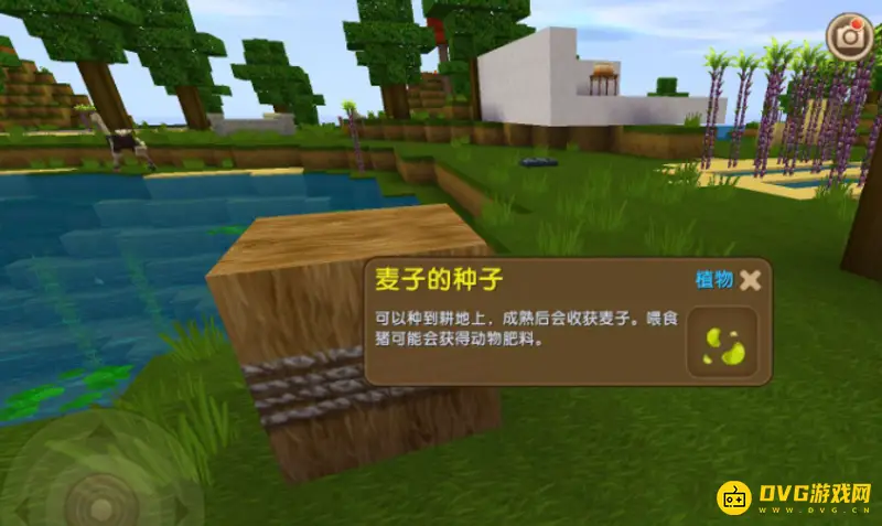 《迷你世界》草垛制作方法详解