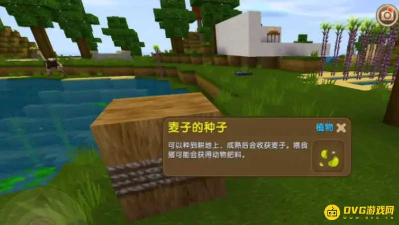 《迷你世界》草垛合成方法详解