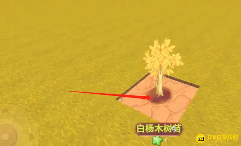 《迷你世界》金树种植方法详解