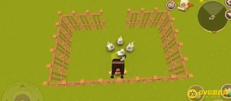 《迷你世界》怎么抓鸡自己养