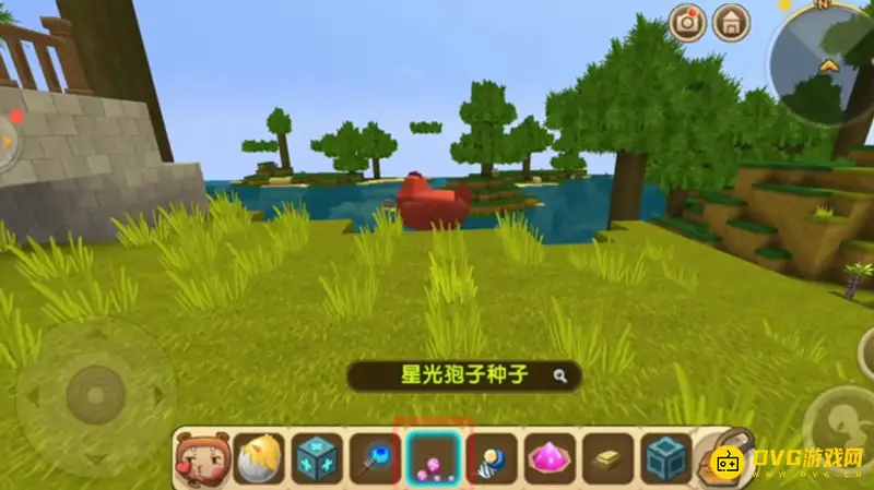 《迷你世界》小鸡怎么驯服-星光孢子种子使用指南