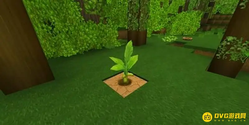 《迷你世界》香蕉树苗获得方法详解
