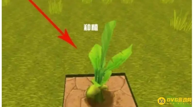 《迷你世界》新版本农作物种植指南