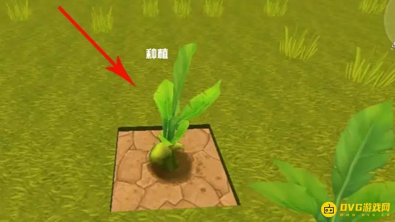 《迷你世界》耕地种植指南