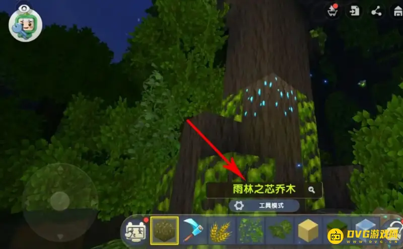 《迷你世界》雨林之芯位置详解