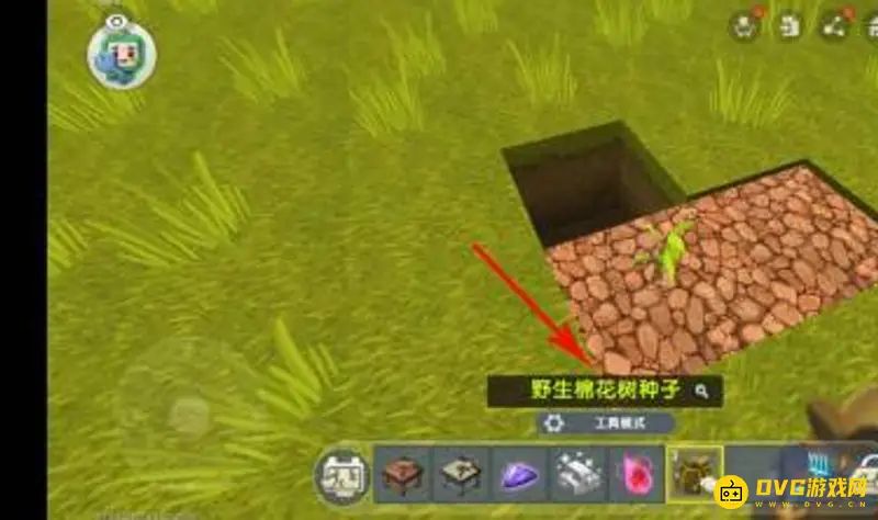 《迷你世界》棉花树获取攻略