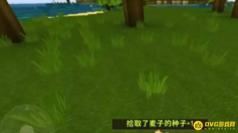 《迷你世界》大麦种子获取攻略