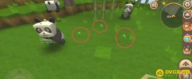 《迷你世界》熊猫驯服指南