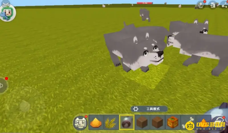 《迷你世界》沙漠狼驯服指南