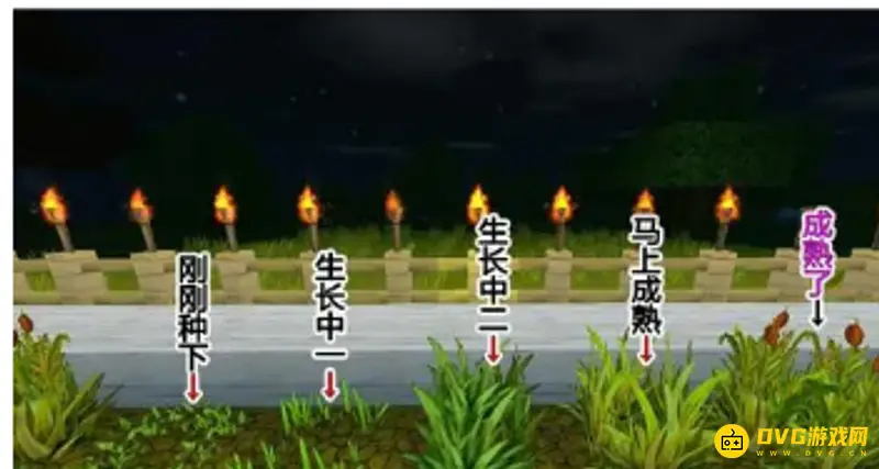 《迷你世界》麦粉怎么制作-麦粉的制作步骤