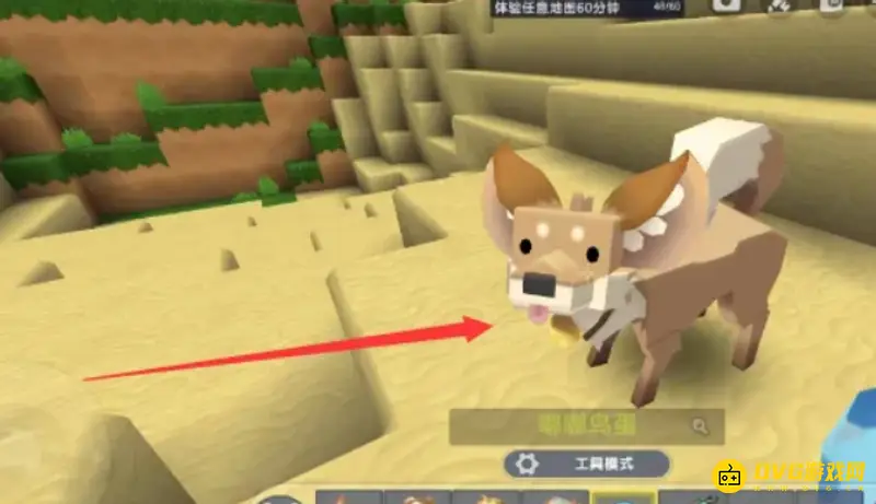 《迷你世界》如何寻找沙漠狼