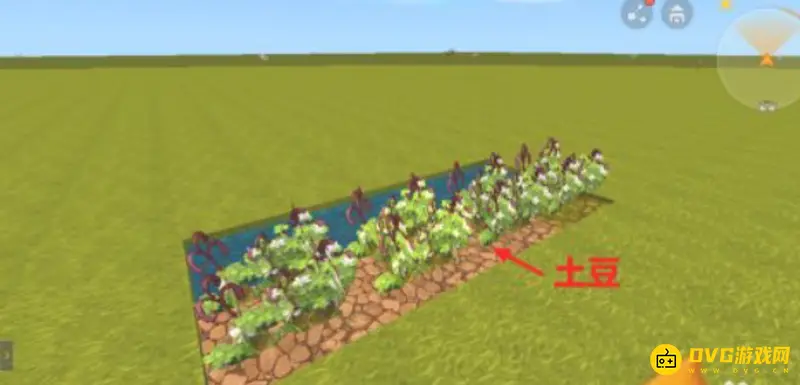 《迷你世界》猪的引诱与繁殖方法详解