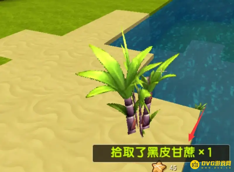 《迷你世界》甘蔗快速生长技巧