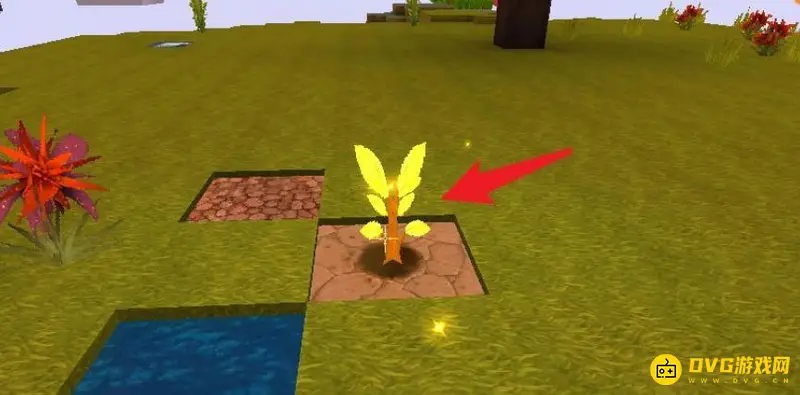 《迷你世界》神圣树快速成长攻略