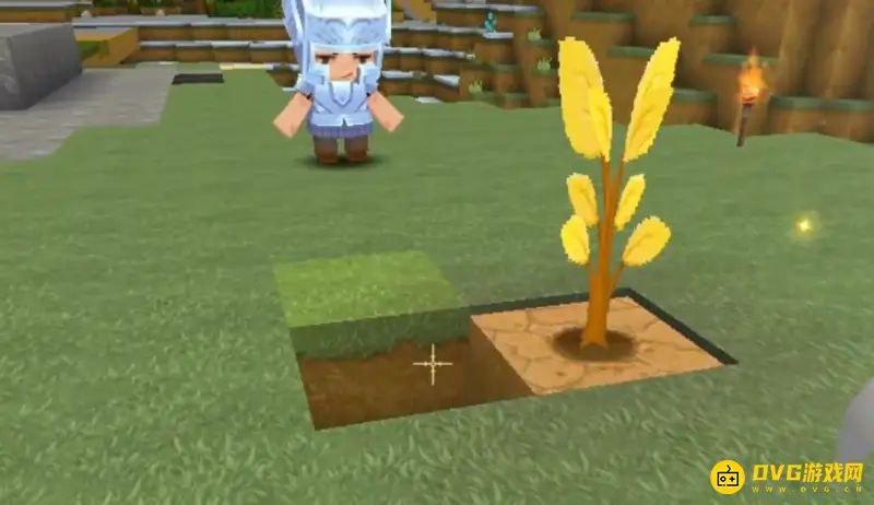 《迷你世界》神圣树长不大原因解析