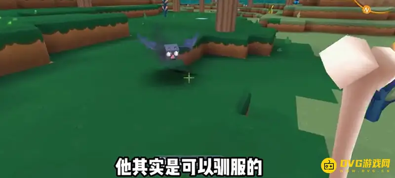 《迷你世界》蝙蝠驯服方法详解