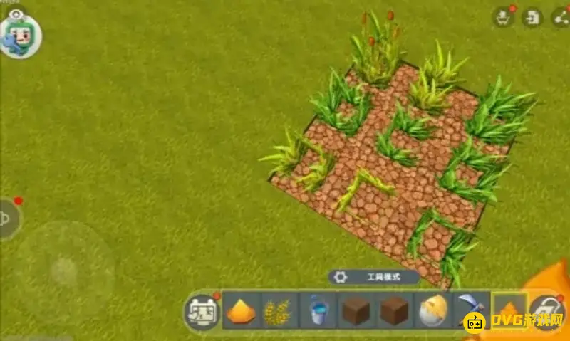《迷你世界》麦子种植方法详解