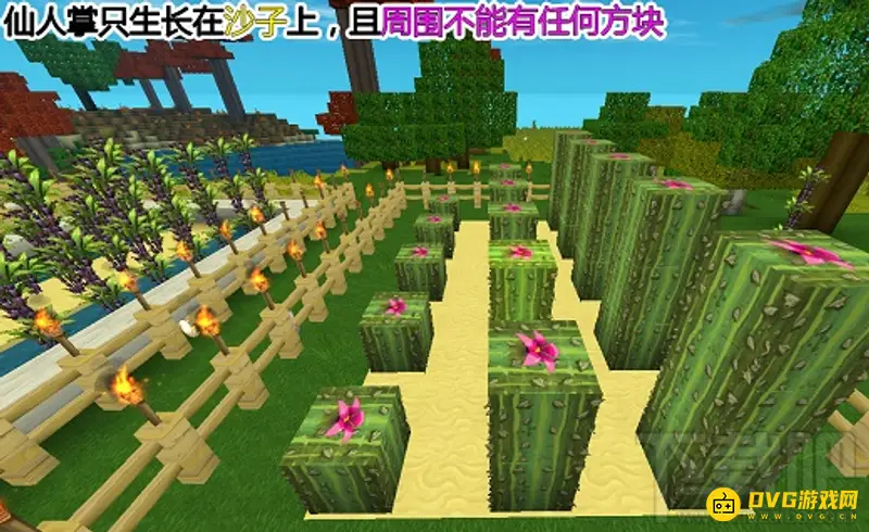 《迷你世界》仙人掌用途解析