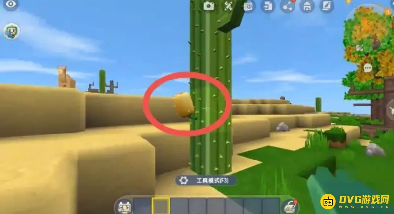 《迷你世界》的骆驼食物介绍