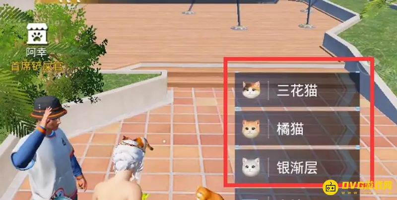 《和平精英》ss21猫咪领养攻略