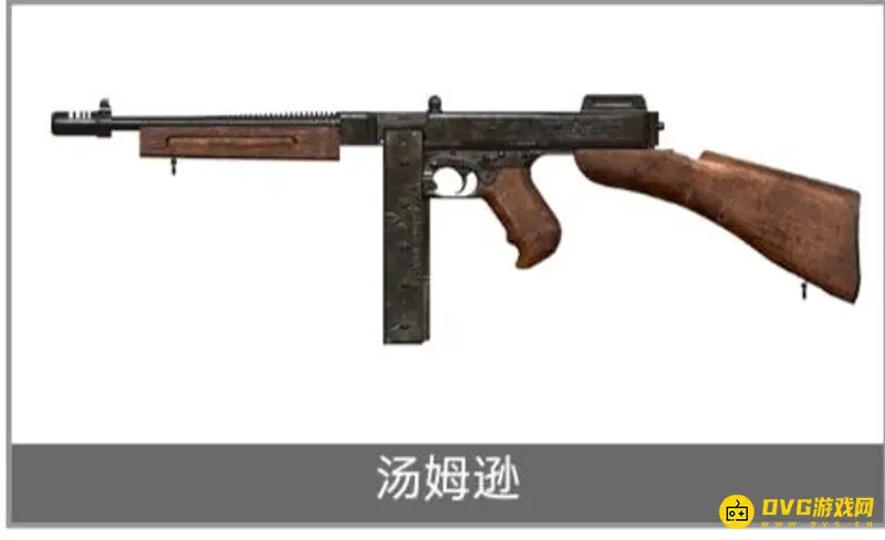 《和平精英》枪械全览