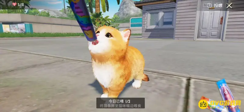 《和平精英》SS21家园养猫攻略