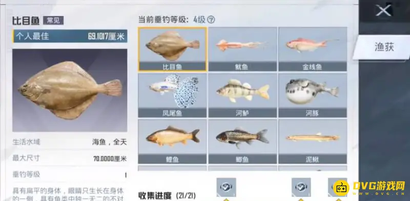 《和平精英》钓鱼图鉴查看方法详解