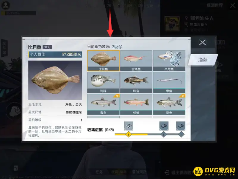 《和平精英》钓鱼等级介绍