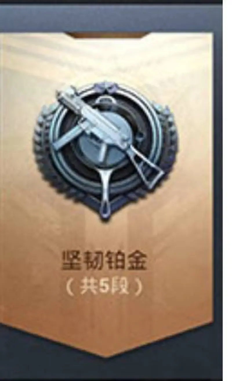 《和平精英》段位介绍
