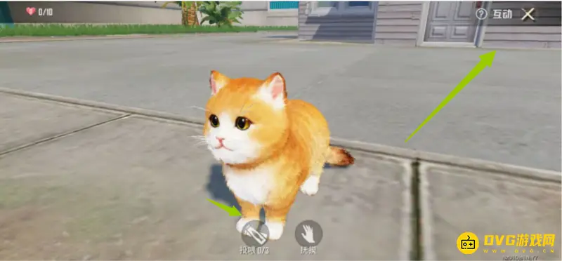《和平精英》SS21家园养猫攻略