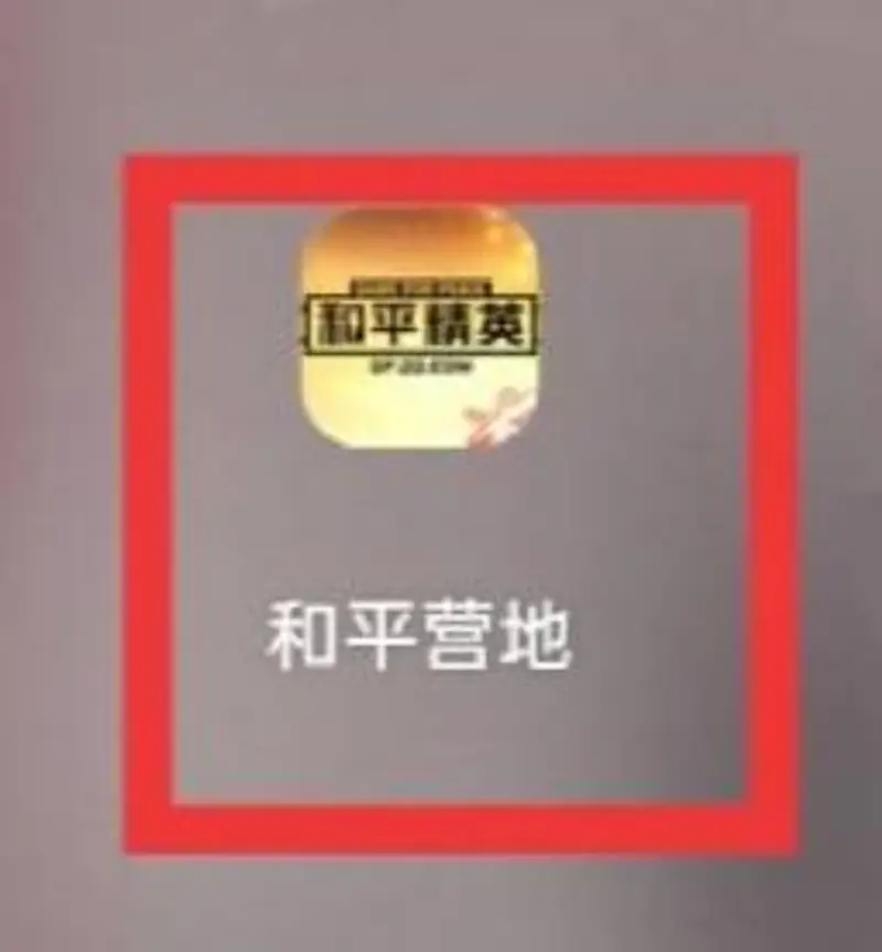 《和平精英》访客查看指南