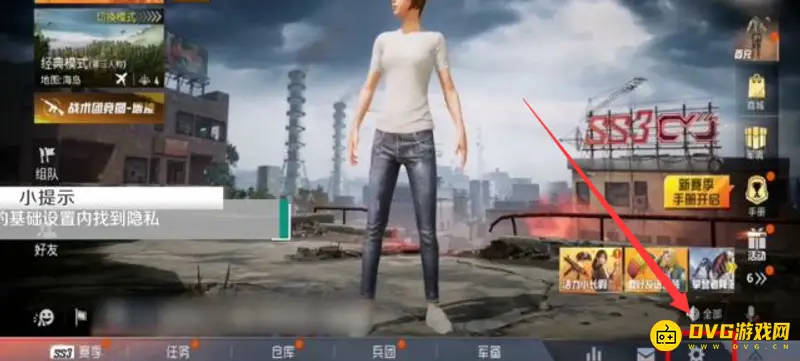 《和平精英》战绩隐私设置指南