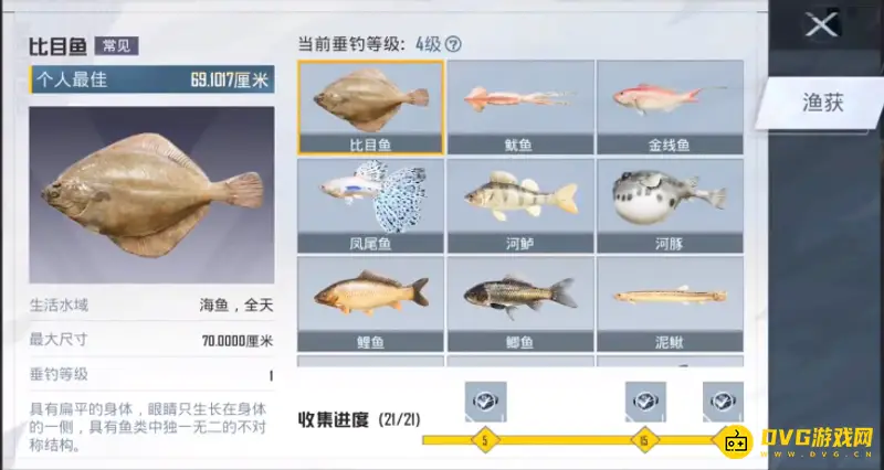 《和平精英》钓鱼图鉴查看方法