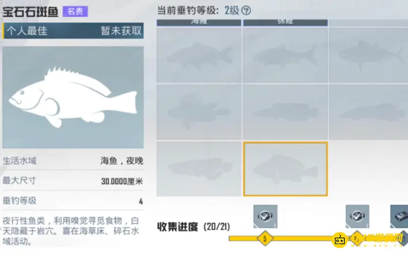 《和平精英》宝石石斑鱼怎么钓-宝石石斑鱼的钓鱼位置及相关条件