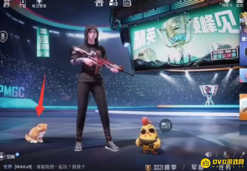 《和平精英》家园猫咪携带攻略