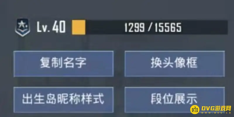 《和平精英》出生岛显示手册等级方法详解