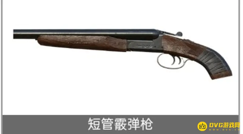 《和平精英》枪械全览