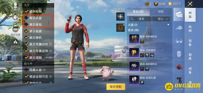 《和平精英》队友头盔背包皮肤看不见原因解析