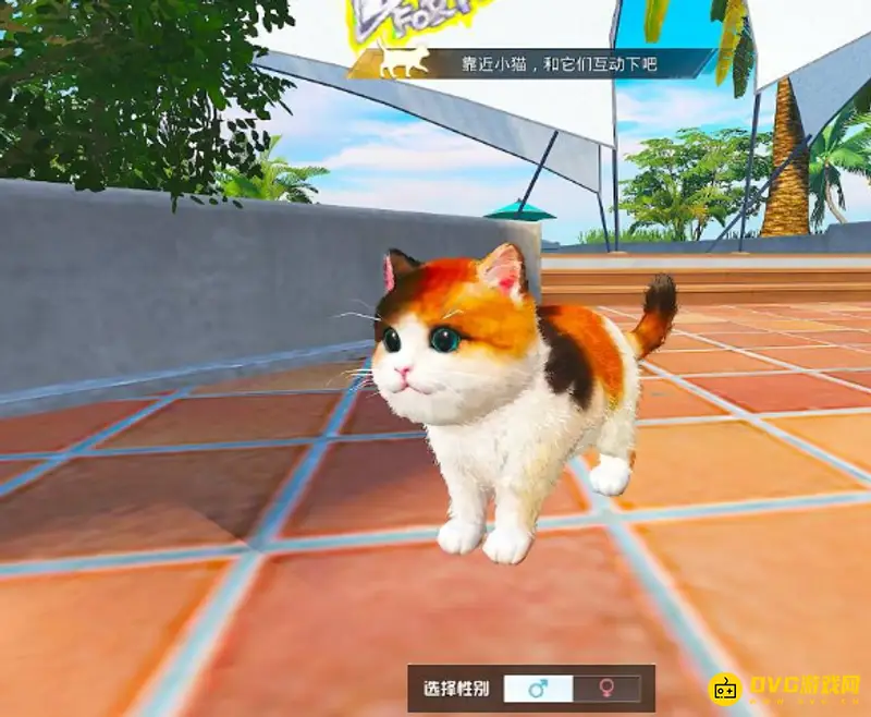 《和平精英》流浪猫获取攻略