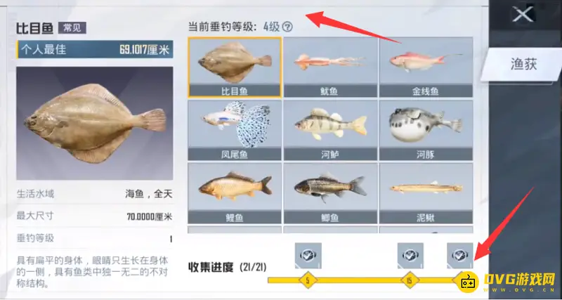 《和平精英》绿洲钓鱼等级上限解析