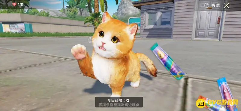 《和平精英》SS21家园养猫攻略