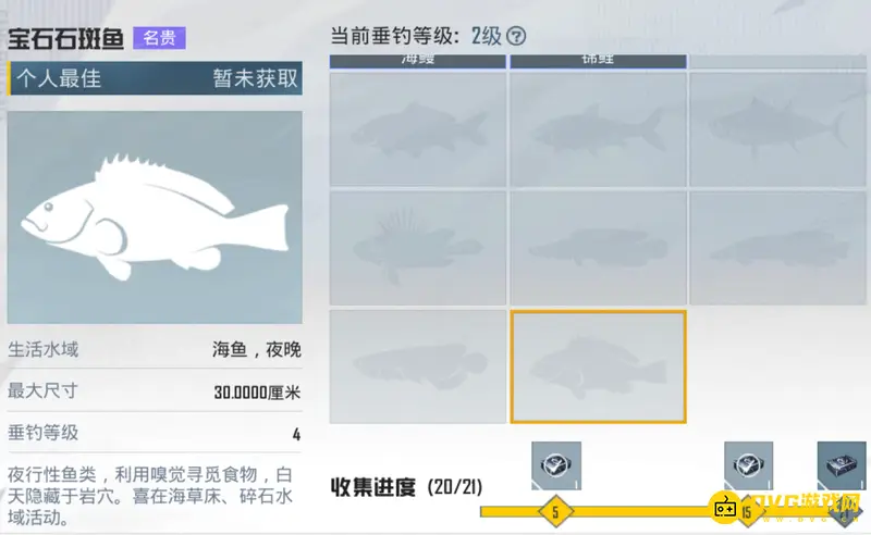 《和平精英》绿洲世界石斑鱼怎么钓-石斑鱼钓点与条件详解