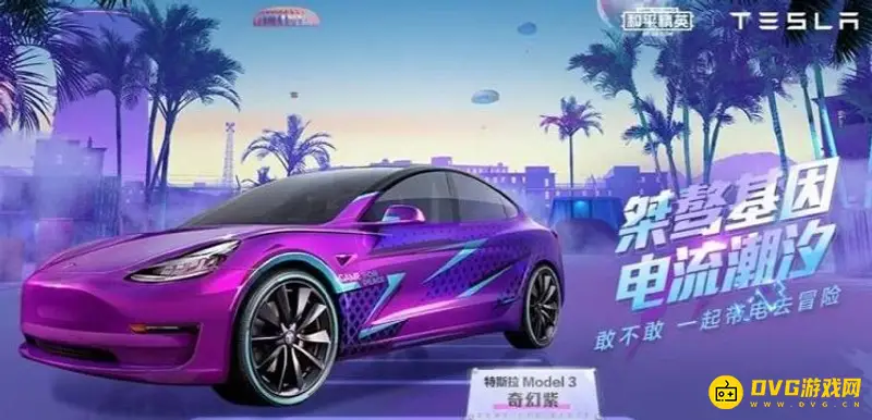 《和平精英》特斯拉皮肤保底价格解析